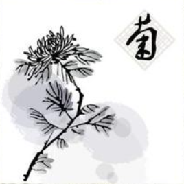 tp6多應(yīng)用如何設(shè)置