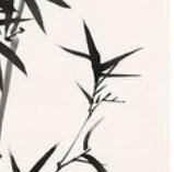 tp6多應(yīng)用自定義taglib標(biāo)簽